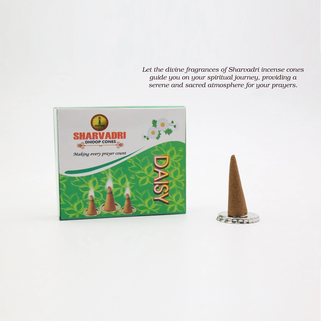 Daisy Dhoop Cones