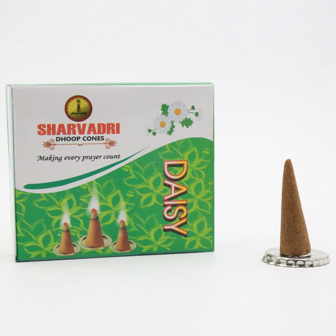 Daisy Dhoop Cones